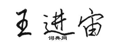 駱恆光王進宙行書個性簽名怎么寫