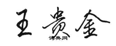 駱恆光王貴金行書個性簽名怎么寫