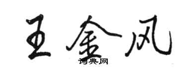 駱恆光王金風行書個性簽名怎么寫