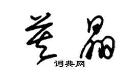 朱錫榮莫晶草書個性簽名怎么寫