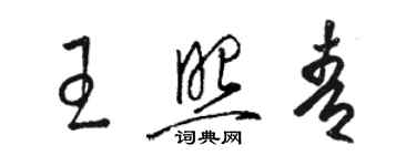 駱恆光王照青草書個性簽名怎么寫