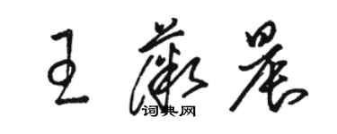 駱恆光王薇晨草書個性簽名怎么寫