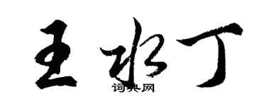 胡問遂王水丁行書個性簽名怎么寫
