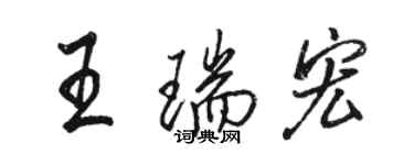 駱恆光王瑞宏行書個性簽名怎么寫