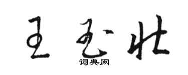 駱恆光王玉壯草書個性簽名怎么寫