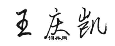 駱恆光王慶凱行書個性簽名怎么寫