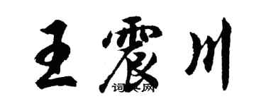 胡問遂王震川行書個性簽名怎么寫