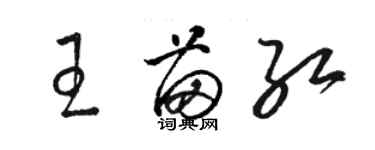 駱恆光王苗紅草書個性簽名怎么寫