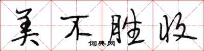 段相林美不勝收行書怎么寫