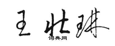 駱恆光王壯琳草書個性簽名怎么寫
