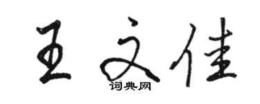 駱恆光王文佳行書個性簽名怎么寫