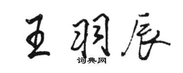 駱恆光王羽辰行書個性簽名怎么寫
