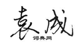 駱恆光袁成行書個性簽名怎么寫