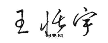 駱恆光王恬宇草書個性簽名怎么寫