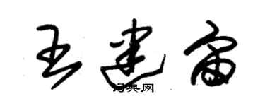 朱錫榮王建宙草書個性簽名怎么寫