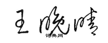 駱恆光王晚晴草書個性簽名怎么寫