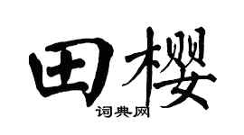 翁闓運田櫻楷書個性簽名怎么寫