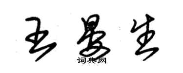 朱錫榮王晏生草書個性簽名怎么寫