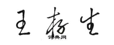 駱恆光王存生草書個性簽名怎么寫