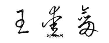 駱恆光王愛劍草書個性簽名怎么寫