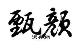 胡問遂甄顏行書個性簽名怎么寫