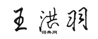 駱恆光王洪羽行書個性簽名怎么寫