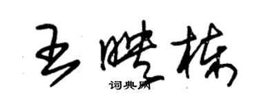 朱錫榮王映棟草書個性簽名怎么寫