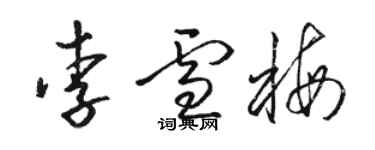 駱恆光李雪梅草書個性簽名怎么寫