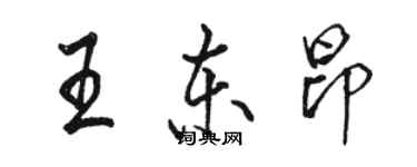 駱恆光王東昂行書個性簽名怎么寫