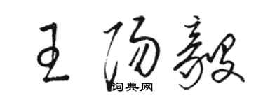駱恆光王陽毅草書個性簽名怎么寫