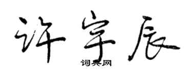 曾慶福許宇辰行書個性簽名怎么寫