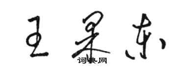 駱恆光王果東草書個性簽名怎么寫