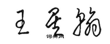 駱恆光王星翰草書個性簽名怎么寫