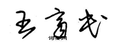 朱錫榮王齊民草書個性簽名怎么寫