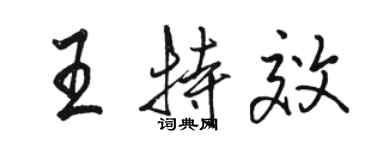 駱恆光王特效行書個性簽名怎么寫