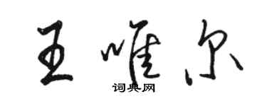 駱恆光王唯爾行書個性簽名怎么寫
