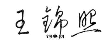 駱恆光王錦照草書個性簽名怎么寫