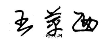 朱錫榮王苹西草書個性簽名怎么寫