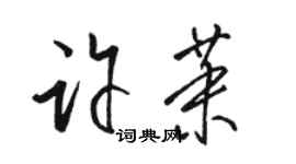 駱恆光許茉草書個性簽名怎么寫