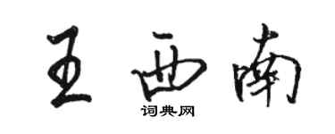 駱恆光王西南行書個性簽名怎么寫