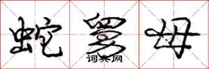 龐中華蛇舅母行書怎么寫