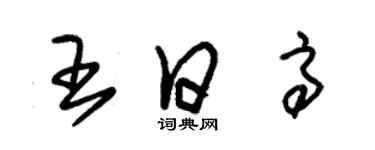 朱錫榮王日高草書個性簽名怎么寫