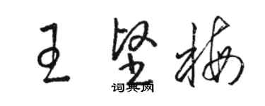 駱恆光王堅梅草書個性簽名怎么寫