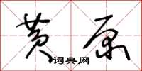 王冬齡黃原草書怎么寫