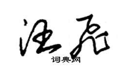 朱錫榮汪飛草書個性簽名怎么寫