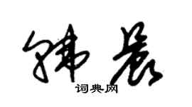 朱錫榮韓晨草書個性簽名怎么寫