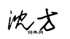 朱錫榮沈方草書個性簽名怎么寫