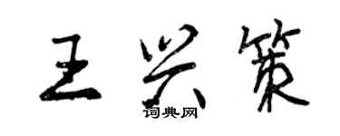 曾慶福王興策行書個性簽名怎么寫