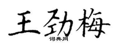 丁謙王勁梅楷書個性簽名怎么寫