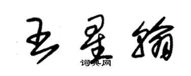 朱錫榮王星翰草書個性簽名怎么寫